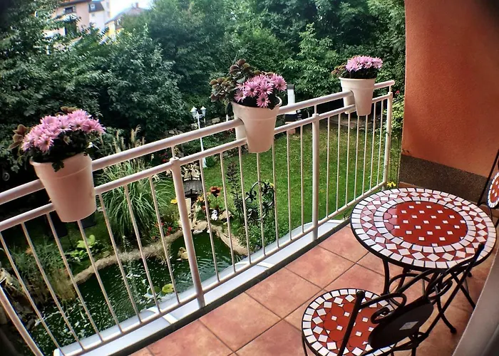 Zentrumsnahe 드레스덴