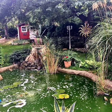 Zentrumsnahe Dresden