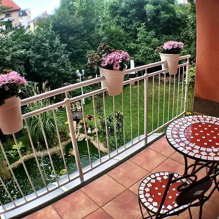 Zentrumsnahe Dresden